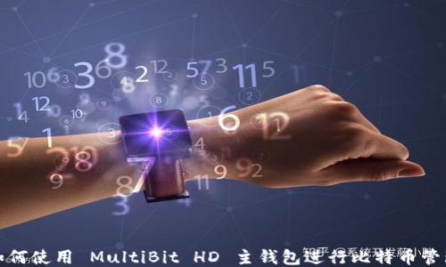 如何使用 MultiBit HD 主钱包进行比特币管理