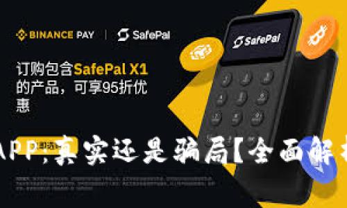 币赢交易所APP:真实还是骗局?全面解析与深度评测