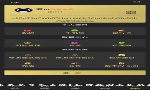 TP钱包币不见了怎么办？如何找回丢失的数字资产