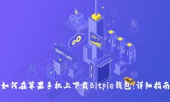 如何在苹果手机上下载B